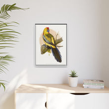 Lydon's Yellow-Rumped Parrakeet | Vintage Bird Wall Art Print