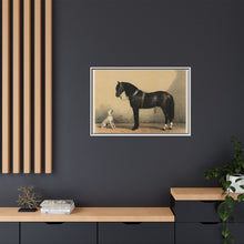 Orloffer (Orloff Horse) by Emil Volkers (1880) - An illustration of a black horse and a white dog - NOMADEN ART GALLERY