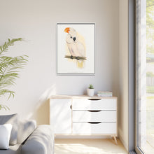 Great Salmon-Crested Cockatoo (CACATUA MOLUCCENSIS) colored wood-engraved plate by Alexander Francis Lydon.