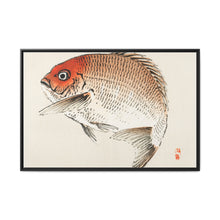 Tai (Red Seabream) fish by Kōno Bairei - NOMADEN ART GALLERY