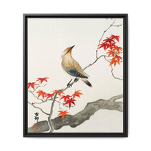 Japanese plague bird on maple (1900 - 1936) by Ohara Koson