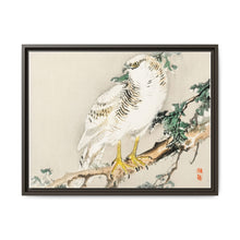 Northern mockingbird by Kōno Bairei (1844-1895) - NOMADEN ART GALLERY