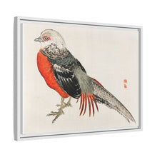 Japanese pheasant by Kōno Bairei (1844-1895)