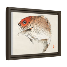 Tai (Red Seabream) fish by Kōno Bairei