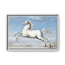White horse (1552–1601) by Joris Hoefnagel - NOMADEN ART GALLERY
