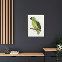 Lydon's Yellow-Naped Amazon | Vintage Parrot Wall Art Print