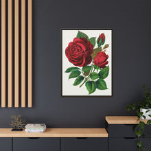 Red Rose, Prince Camille De Rohan Lithograph